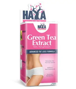 Green Tea Extract 500 mg / 60 Caps