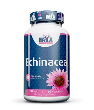 Echinacea 250 mg / 60 Caps