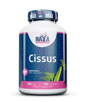 Cissus 500 mg / 100 Caps