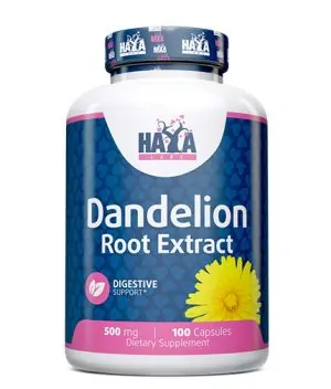 Dandelion Root Extract (2% Flavonoids) 500 mg / 100 Caps