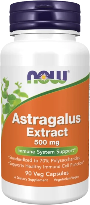 Astragalus Extract 500 mg