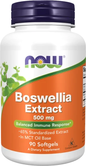 Boswellia Extract 500 mg