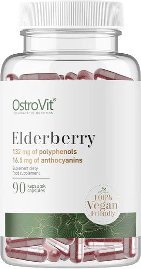Elderberry Extract 330 mg | Vege